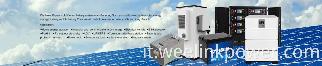 48v 125Ah LifePO4 Power Battery Golf Cart Archiviazione Energia